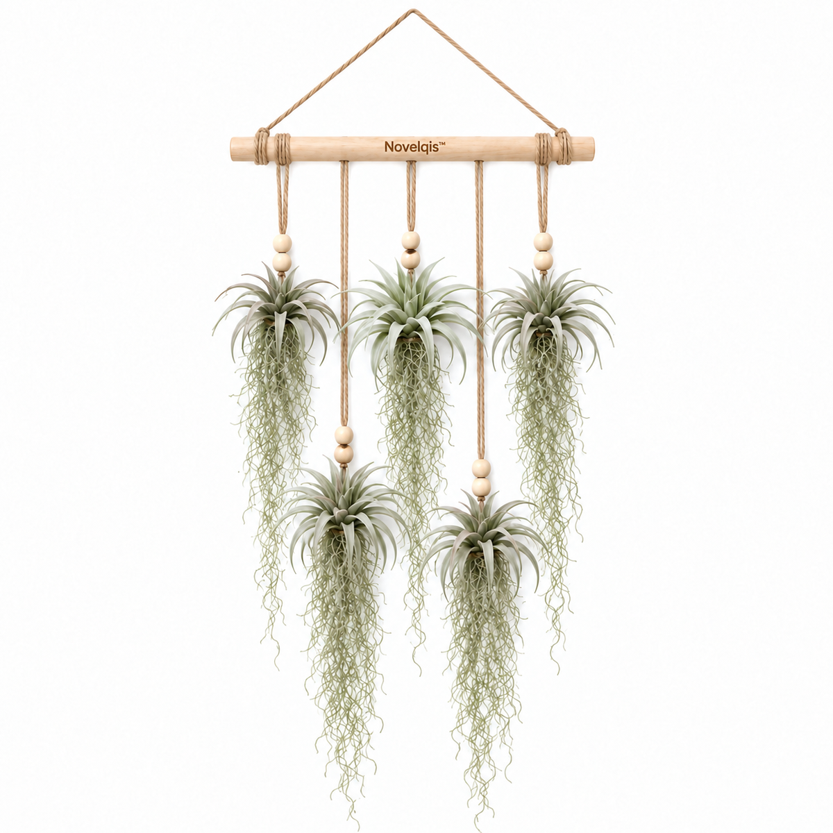 Novelqis™ Air Plant & Spanish Moss Wall Hanging