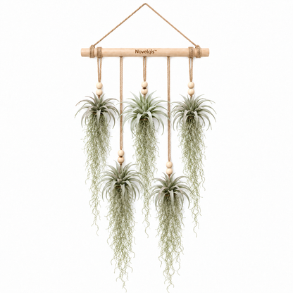 Novelqis™ Air Plant & Spanish Moss Wall Hanging
