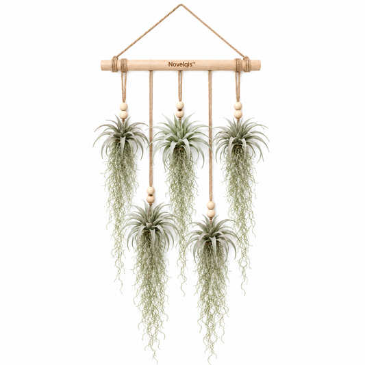 Novelqis™ Air Plant & Spanish Moss Wall Hanging