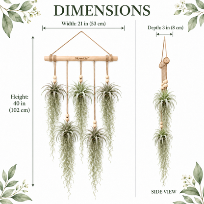 Novelqis™ Air Plant & Spanish Moss Wall Hanging