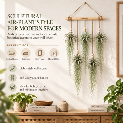 Novelqis™ Air Plant & Spanish Moss Wall Hanging