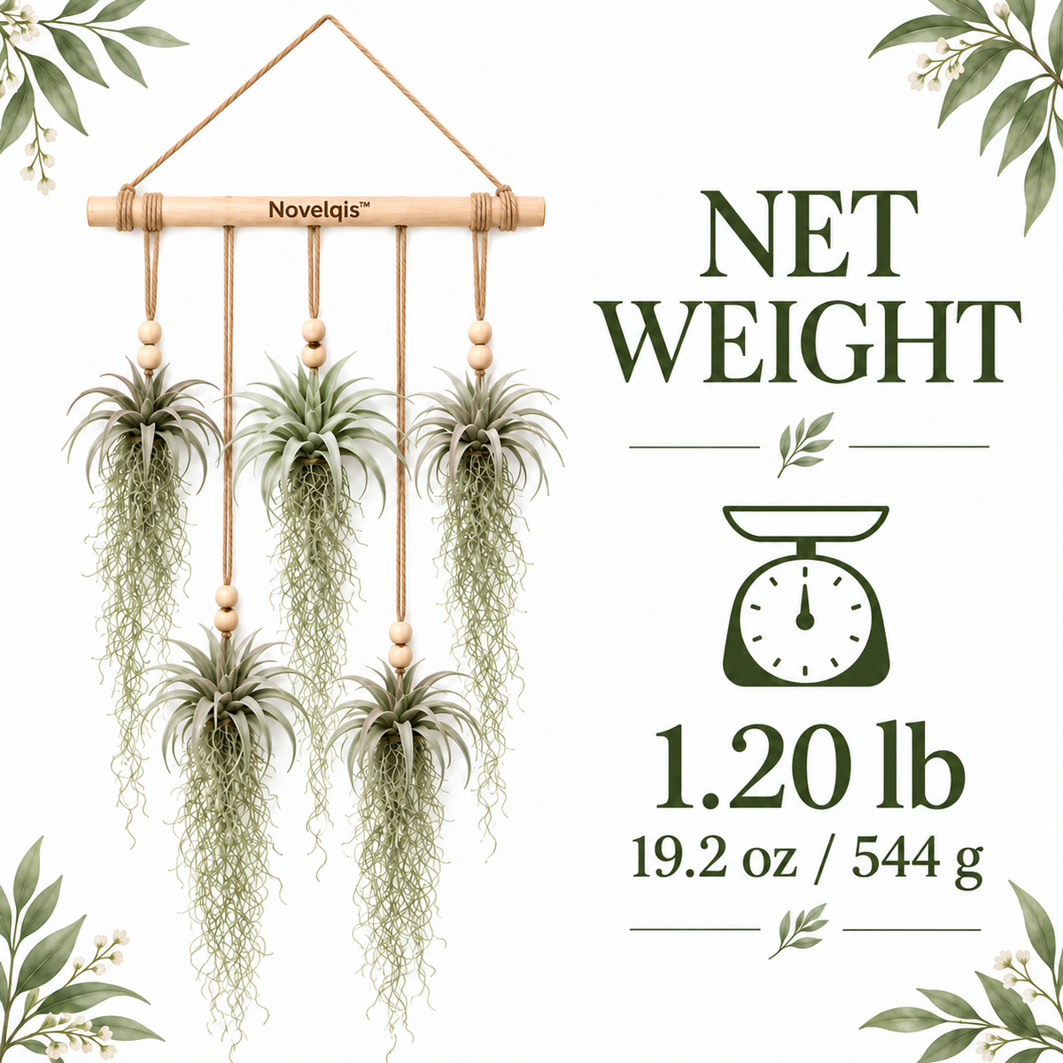 Novelqis™ Air Plant & Spanish Moss Wall Hanging