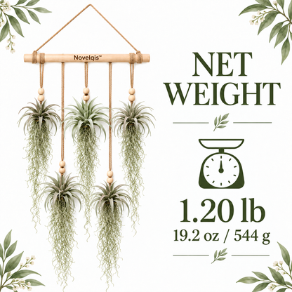 Novelqis™ Air Plant & Spanish Moss Wall Hanging